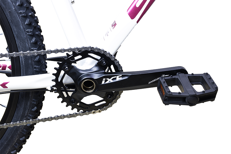 Viva 27.5 HD (2024)